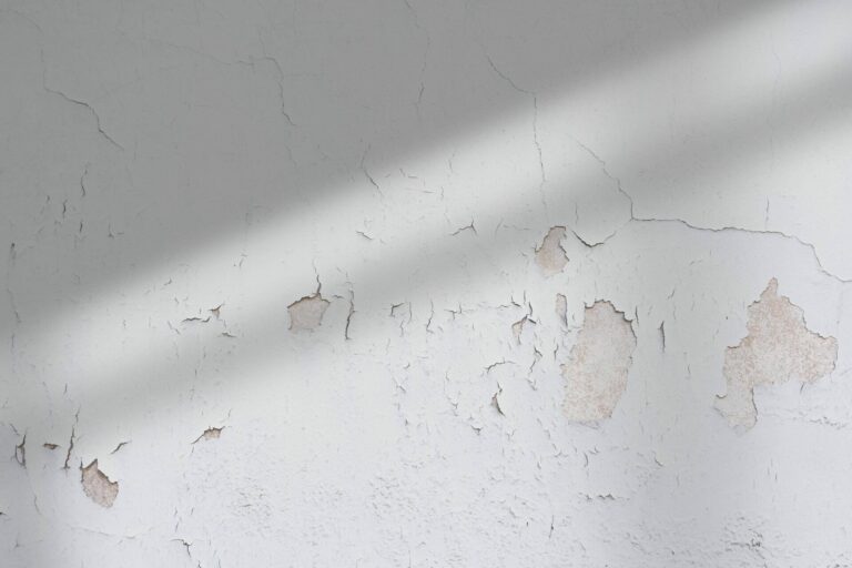 formation immobilier batiment fissure